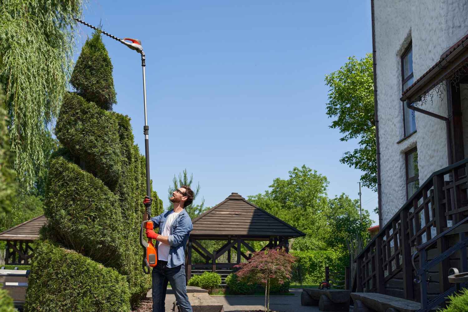 Tree Root Removal in Rolla, MO